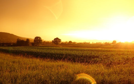 GPS TRACTOR TRACKERS